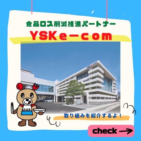 YSKe-com搭配R4-1