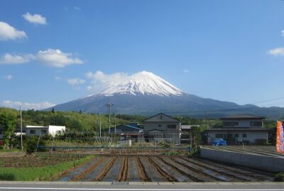 从鸣泽看到的富士山