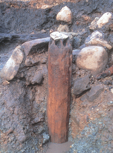 木柱(发掘时)