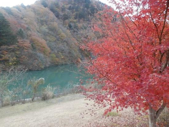 2017年11月21日拍摄的小金泽公园3