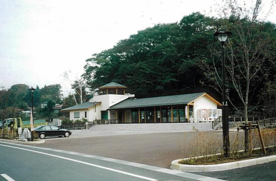 9道车站假山