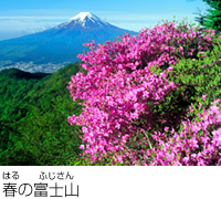 春天富士山的风景