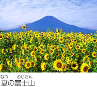 夏天富士山的风景