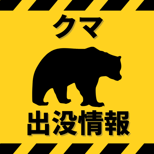 熊SP