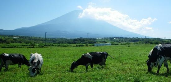 富士山和牛