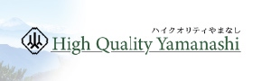 高品质无山网站LOGO图像