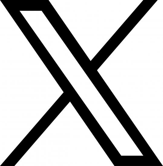 图片:X的logo