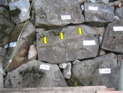 甲府城研究室_整备事业_维修工程H18_写3