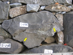 甲府城研究室_整备事业_维修工程H18_写4