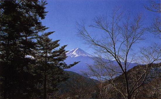 眺望富士山