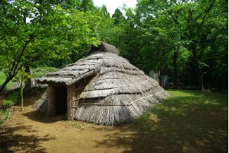 /images/34539/miyatani001.jpg