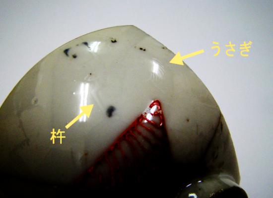 0270鳅泽年糕兔子2