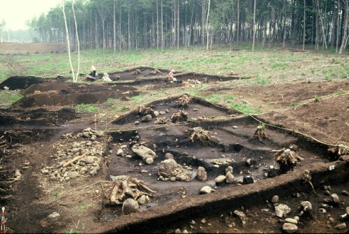 NO3丘公园第5遗址A・C地区近景(500×335)