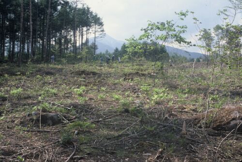 NO1清里之森第1遗迹调查风景(500×335)