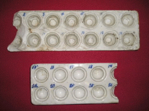 甲府城下町(北口)检查用乳钵