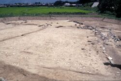 NO8仲田遗迹图11区足迹的状况250