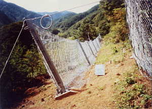 防护栏照片