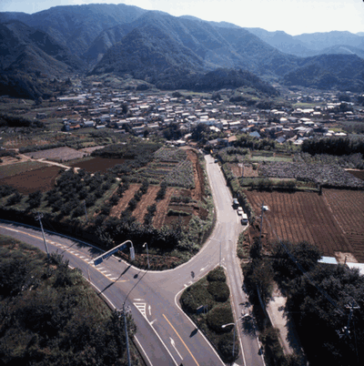 0393_上野原遗迹_全景