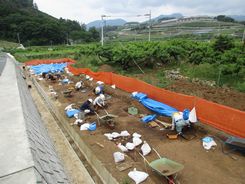 调查情况