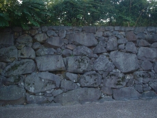 野面积