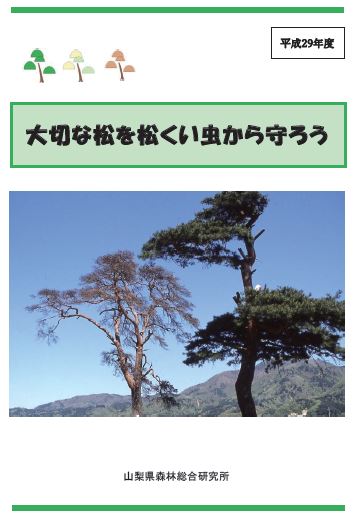 保护重要的松树免受松鼠虫的侵害