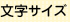 字符大小