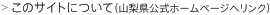 关于本网站